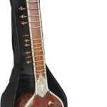 Sitar Case Bag