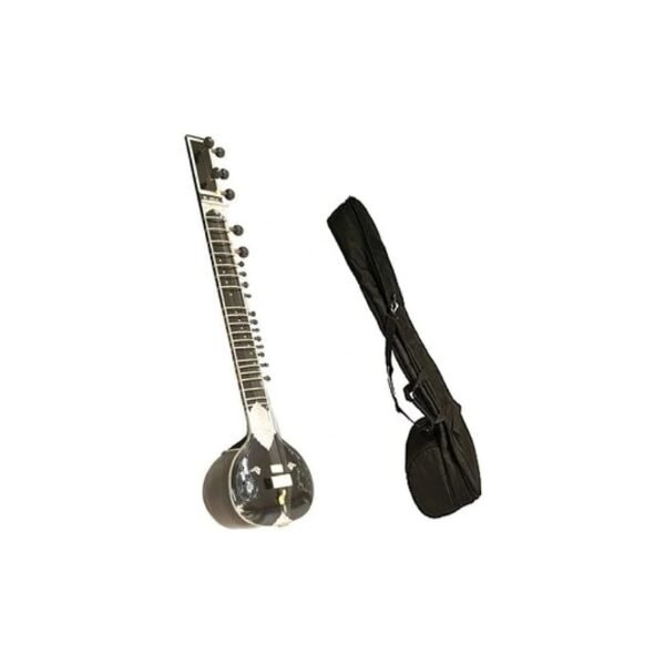 Sitar Case Bag
