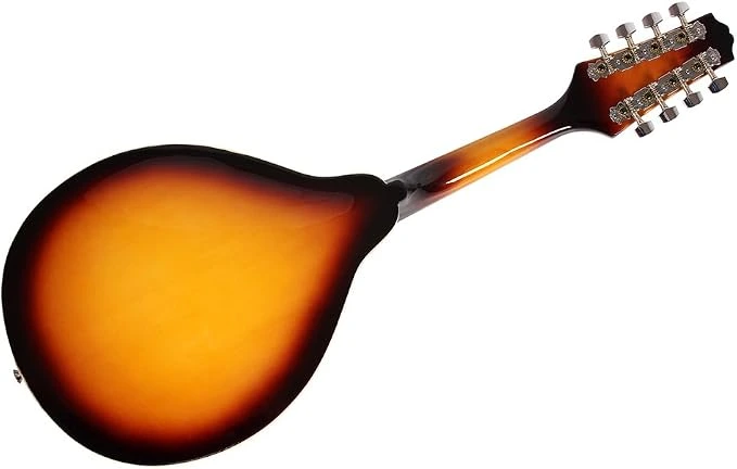 Yinhing 8-String Acoustic Mandolin