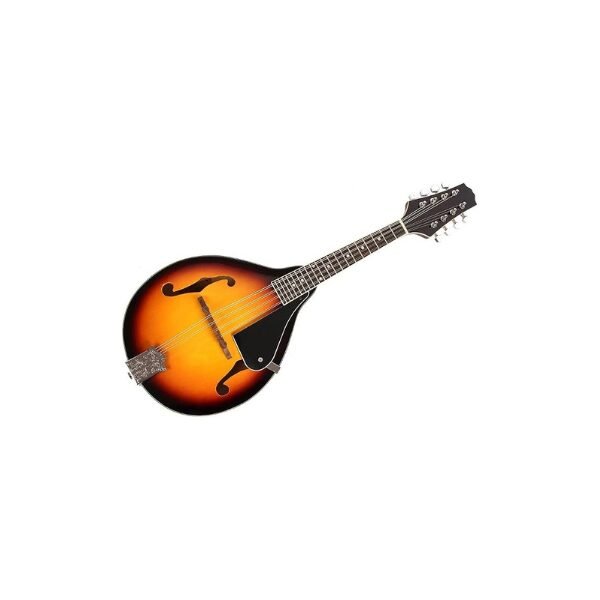 Yinhing 8-String Acoustic Mandolin